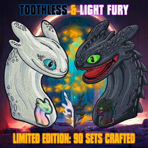 Toothless & Light Fury